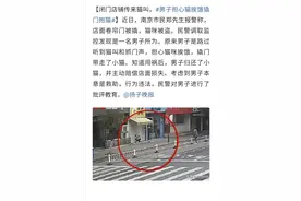 江苏南京：闭门店铺传来猫叫，男子担心猫挨饿撬门抱猫图片