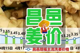 2020年4月27日昌邑生姜价格行情（价格回落!）图片