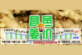 2020年4月27日昌邑生姜价格行情（价格回落!）图片