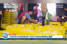 伸出援手！农家女高考结束突遇家庭变故 村民合力助其采摘销售水蜜桃图片