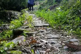 来这些清幽古朴的世外小县城吧！自驾游山村、徒步古道，独享美景！图片