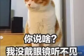 好话听不见，坏话立马就听见？说“装聋”，你可能冤枉了他们图片