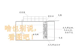 上滤鱼缸净水效果不好？用这种过滤来辅助，二道过滤净水效果杠杠视频封面