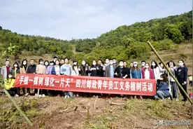 “包山头” | 四川省邮政分公司本部组织青年志愿者参加义务植树活动图片