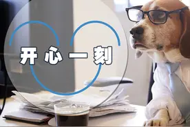 南方的耗子去了北方过冬，这一过就是一辈子。哈哈哈图片