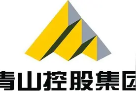 曾经暴动的青山钢铁印尼项目，年薪20万还能去吗图片