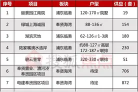 临港新片区纯新盘亮相！阳光城青溪水岸70-90㎡小户型将入市图片