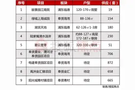 临港新片区纯新盘亮相！阳光城青溪水岸70-90㎡小户型将入市图片