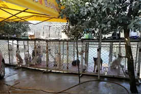贵阳阿哈水库边坡有人建狗舍倒垃圾？多部门督促整改｜融媒问政图片