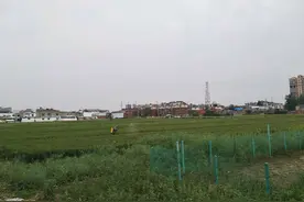 诗歌《老百姓的心里话》图片