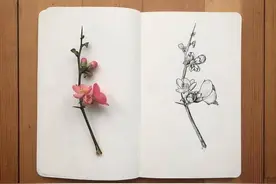抖音最深入人心的句子，简短有哲理，拿去发朋友圈吧图片