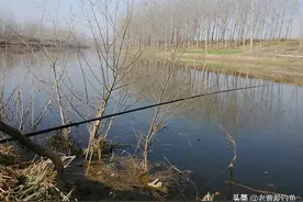 臭豆腐加入饵料当中，比钓鱼添加剂还好用，一年下来能省不少钱图片