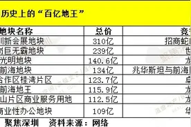 轮回深处的借贷 没有一块100亿地王是“清白的”图片