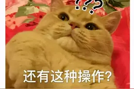 世界最抠门百万富婆？为省2块吃猫粮，网友：这女的疯了图片
