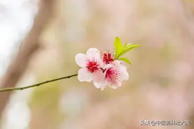 通过科学的戒色，肾虚可以自我恢复好吗？图片