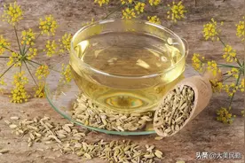 【民勤茴香 梦里回乡】​茴香的用途功效图片