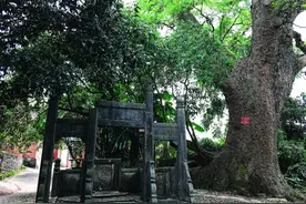 桂林乡村旅游丨骑行甘棠江畔，到潭下赶一场圩图片