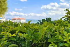 有一个美丽的地方图片