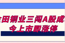 金田铜业三闯A股成功，今上市即涨停图片