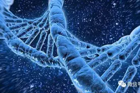 康诺亚生物通过聆讯：年亏超8亿 高瓴与博裕资本是股东图片