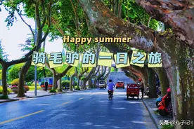 扬州代管县级市仪征，一个骑小毛驴就能逛完的地方图片