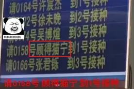 有种“坑娃”叫亲爸起名，孩子叫“顾得猫宁”，网友：二胎名已取图片