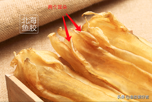 北海花胶和赤嘴花胶 2026年北海鱼胶和赤嘴的区别