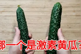 黄瓜打没打激素？看准黄瓜头部就清楚了，五个妙招选出优质的黄瓜图片