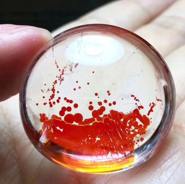 黄胶花功效和作用是什么 2026年黄胶花功效和作用是什么样的 黄胶花功效和作用是什么 2026年黄胶花功效和作用是什么样的