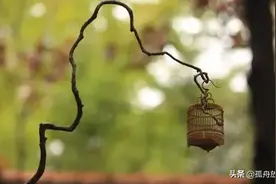 淡定是一种生活态度，一种人生境界，是对简单生活的一种追求图片