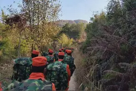训练正当时，新春火力全开图片