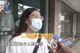 网上买的“比熊”，卖家用上“秘籍”图片