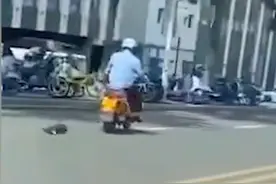 男子骑摩托拖行小狗，画面残忍！警方微博直播“追凶”图片