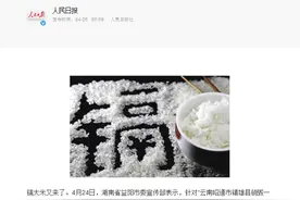 "有毒大米"卷土重来！还能不能吃？哪种更安全？答案在这里图片
