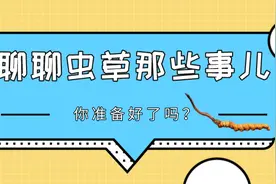 冬虫夏草：你才有虫草素，你全家都有图片