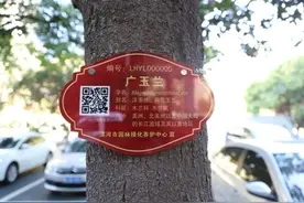 漯河：树木有了“身份证”轻轻一扫便知其“底细”图片