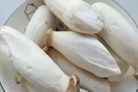挑杏鲍菇，不要只看大小了！内行人都这么挑，买错了就亏大了图片