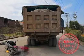 电动车主被撞当场死亡 肇事司机主动报警 事故真相却暗藏玄机图片