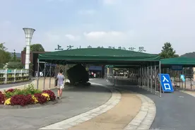 苏州动物园究竟怎样 昨天去做了实地考察图片