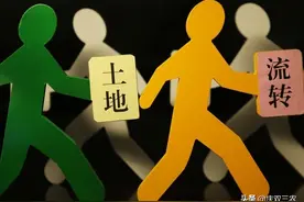 马云说“致富未来在农村”，那未来哪些人可以成为农村的致富人？图片
