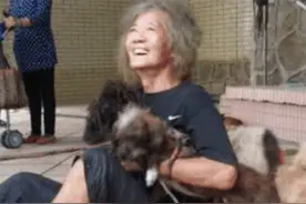 曾经“辉煌一时”的香港富二代，挥霍后流浪街头，如今只有狗为伴图片