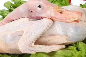买鸭肉时，是挑白色的还是黄色的？教你几招，别被忽悠了图片