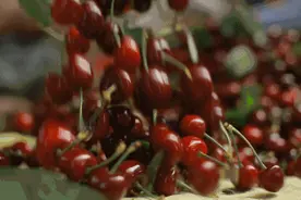 昆明4月樱桃采摘游玩攻略， 可当天往返！图片