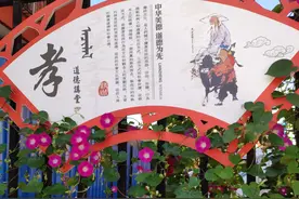 温室中的花虽美，但花美需要心静图片
