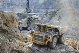 惹不起的“山大王”图片