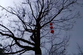 农村俗语：“寡妇不上未婚床，鳏夫不睡儿媳床”说的是什么意思？图片