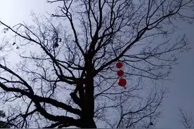 农村俗语：“寡妇不上未婚床，鳏夫不睡儿媳床”说的是什么意思？图片