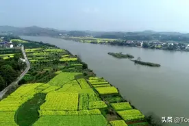 洣水有约 | 捂不住的春光图片