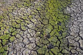 缺水、少地，先天不足的古代西班牙，为何在后倭玛亚"逆袭"成功？图片