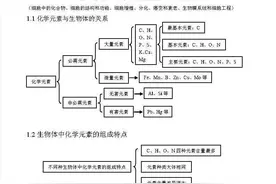 （超详超全）高中生物知识点归纳汇总，可下载！可打印图片